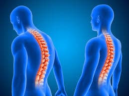 Spine - Orthopedic Service